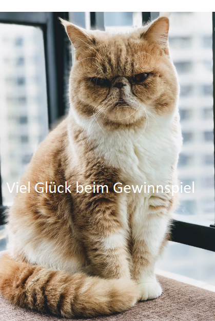 Cityguide Rhein-Neckar - 2x 1 Fan-Paket ( mit folgendem Inhalt: je 2 Kinokarten + Garfield Squishies + Garfield Beutel ) zum neuen Film von Garfield ~ Eine extra Portion Abenteuer ~