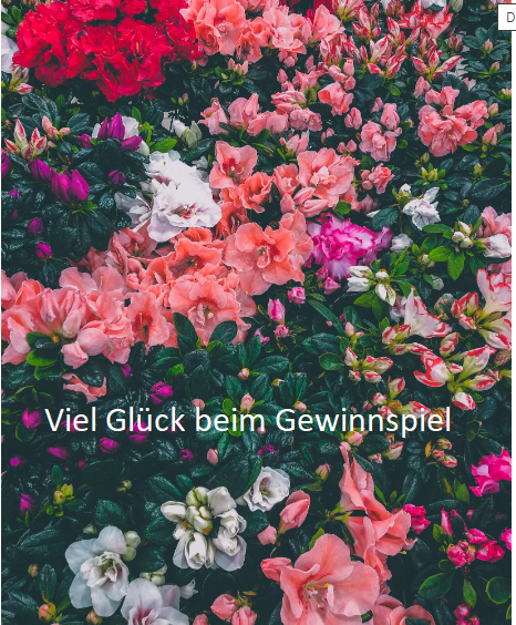 Mitteldeutsche Zeitung - 1 Exemplar des Buches ~ Welche Blume ist das? ~