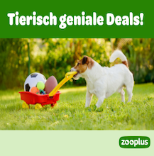 Zooplus: Sichere dir jetzt mega Deals!