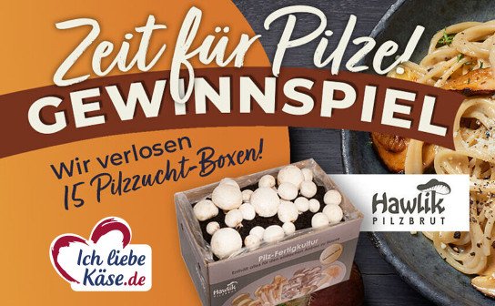 Ich liebe Käse: 15 x eine Hawlik Pilzzuchtbox Ich liebe Käse: 15 x eine Hawlik Pilzzuchtbox