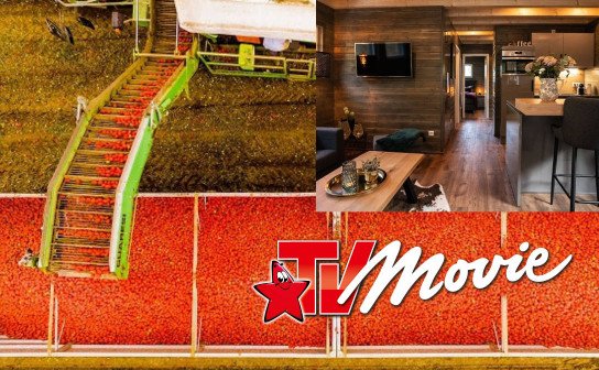 TV Movie: 2 Übernachtungen im Tiny House KlitzeKlein & Produktpaket zu gewinnen! TV Movie: 2 Übernachtungen im Tiny House KlitzeKlein & Produktpaket zu gewinnen!