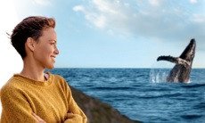 Brita: eine Reise nach Sylt inkl. Walerkundungstour im Wert von 1500€ wird verlost! Brita: eine Reise nach Sylt inkl. Walerkundungstour im Wert von 1500€ wird verlost!