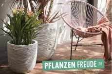 Pflanzenfreude: 2 x elfenbeinfarbene Töpfe für rund 175 € werden verlost! Pflanzenfreude: 2 x elfenbeinfarbene Töpfe für rund 175 € werden verlost!