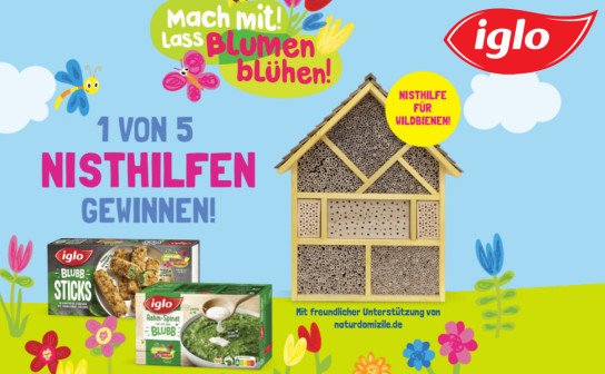 iglo: 5 x eine Nisthilfe für Wildbienen im Wert von jeweils 170 € iglo: 5 x eine Nisthilfe für Wildbienen im Wert von jeweils 170 €