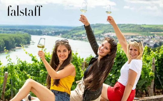 falstaff: verlost werden 3 Weinpakete für je 99 €