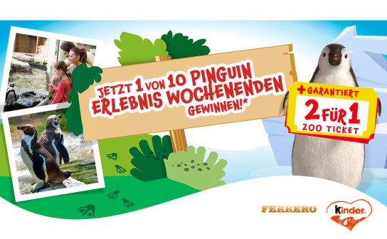 Ferrero: 10 Pinguin Familien-Erlebnis­wochenenden im Zoo Krefeld zu gewinnen