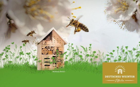 Deutsches Weintor: verlost wird 30 x ein Insektenhotel für Zuhause