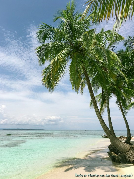 braut.de - gewinne einen 1.000 € Gutschein für Flüge und fünf Übernachtungen im Bucuti + Tara Beach Resort auf Aruba