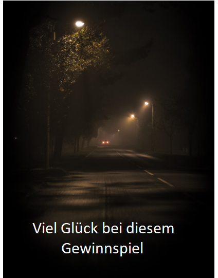Cityguide Rhein-Neckar - 2 DVDs des Films ~ Silent Night – Stumme Rache ~