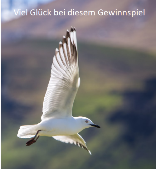 Spielfilm.de - 4 Freikarten und 2 Romane zum neuen Film ~ White Bird ~