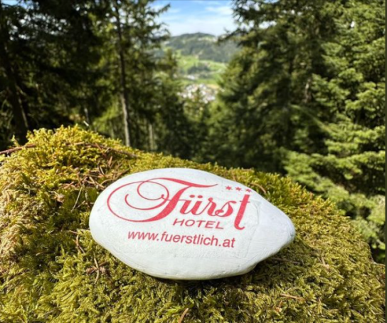 Hotel Fürst - 100 € Gutschein von Hotel Fürst (Instagram)