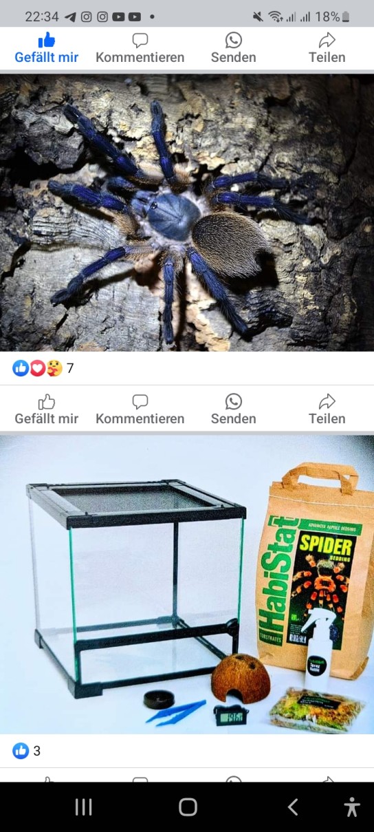 Ruhrpott Exoten - 1. Kompletset für Vogelspinnen, 2. 50 Euro Gutschein, 3. 25 Euro Gutschein (FACEBOOK)