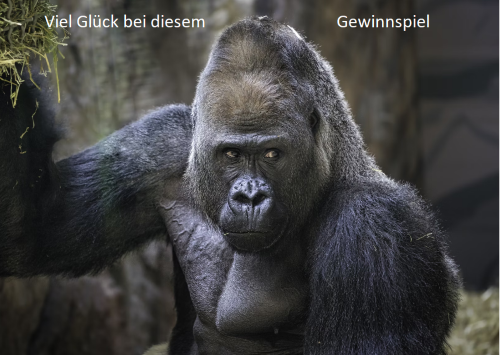 trailer-ruhr - 1x 2 Karten zum Filmstart von ~ Planet der Affen: New Kingdom ~ in Gelsenkirchen ( Schauburg )