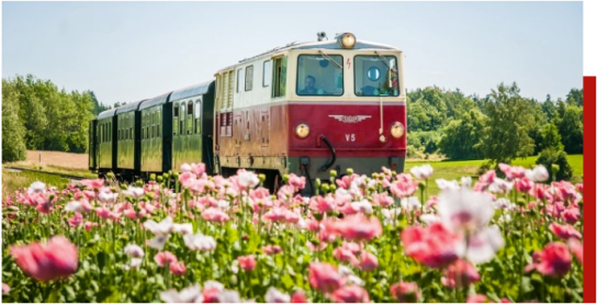 weekend.at - 1 Gutschein für 2 Personen für eine Fahrt mit der Waldviertelbahn Gmünd - Groß Gerungs