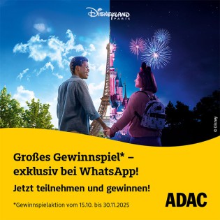 ADAC - vier exklusive VIP-Pakete für Disneyland Paris: Übernachtung in Disney’s Newport Bay Club, Zwei Tage Eintritt in beide Parks des Disneyland, uvm.