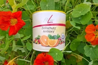 Das Berchtesgaden Magazin - einen FitLine Zellschutz