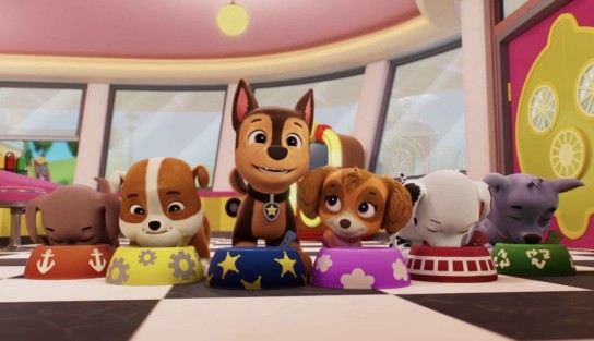 Enkelkind.de - 3x 1 DVD „Paw Patrol: Fire Rescue“