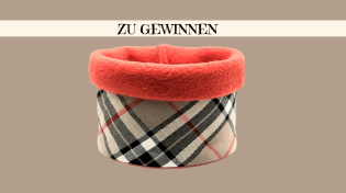 Good4Pets - ein Hundeloop von Finnfashion im trendigen Burberrylook