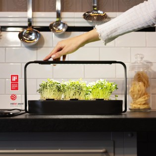 ingarden - 3x einen 200€ Rosental Organics Gutschein,3x ein ingarden Starter Set mit zwei Bio-Microgreen Nachfüllpackungen