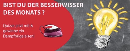 TECWORLD - ein Dampfbügeleisen