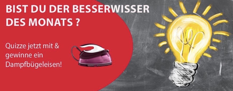 TECWORLD - ein Dampfbügeleisen