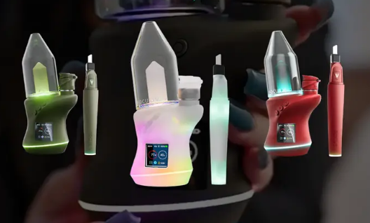 Tortuga Technologies - 3 x Focus V Carta 2 Sets (Vaporizer) inkl. farblich passendem Saber Hot Knife