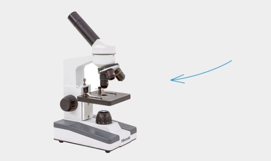 Betzold - 1 von 2 Betzold Schülermikroskopen LED oder1 von 5 Fagus Holztraktoren XXL