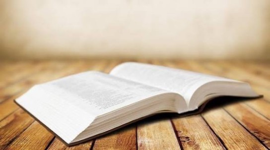 Grille Verlag - 1 Buch nach Wunsch