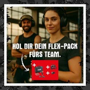 Handwerker Radio - FLEXPACK 12, bestehend aus: zwei FLEX-12 V-Geräten deiner Wahl, einem Akku-Bohrschrauber,3 x 2.5 Ah Akkus inklusive einem Ladegerät & einer praktische Tasche