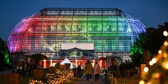 Iomauna Media - 2 x 2 Tickets für den Christmas Garden im Botanischen Garten Berlin