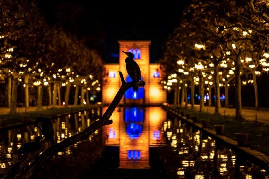 Nussbaum Medien - 5 x 2 Flex-Tickets für den Christmas Garden in der Wilhelma Stuttgart vom 13. November 2025 bis 11. Januar 2026