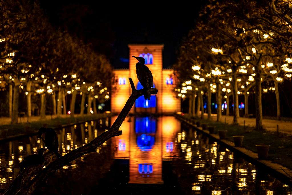 Nussbaum Medien - 5 x 2 Flex-Tickets für den Christmas Garden in der Wilhelma Stuttgart vom 13. November 2025 bis 11. Januar 2026