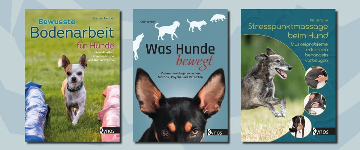 Der Hund - 1 von 3 Fitness-Paketen aus dem Kynos Verlag