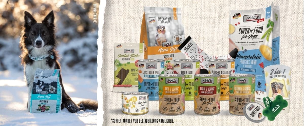 Der Hund - 1 von 3 großen MAC’s Futterpaketen