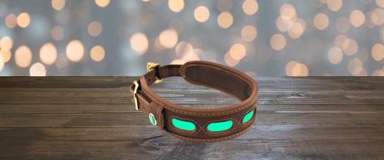 Der Hund - 1 von 3 Lederhalsungen von Niggeloh in der Größe XS (30-40 cm Halsumfang), S (40-50 cm) oder M (48-60 cm)!