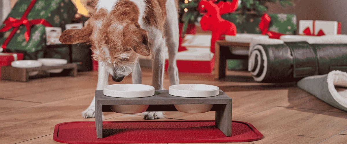 Der Hund - einen hochwertigen Gohan Doppelnapf mit 0,4 l Fassungsvermögen in der Farbe walnuss und eine farblich passende Napfunterlage aus 100 Prozent Naturkautschu