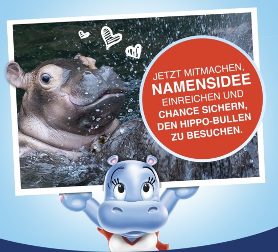 Ferrero - eine Reise in den Zoo Berlin zu Baby Hippo
