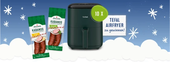 Houdek - 10 x Tefal Airfryer
