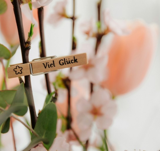 Klambt-Verlag - 🎄 jeden Tag eine andere Überraschung, die viel Freude bereitet vom OK-Magazin ☃️