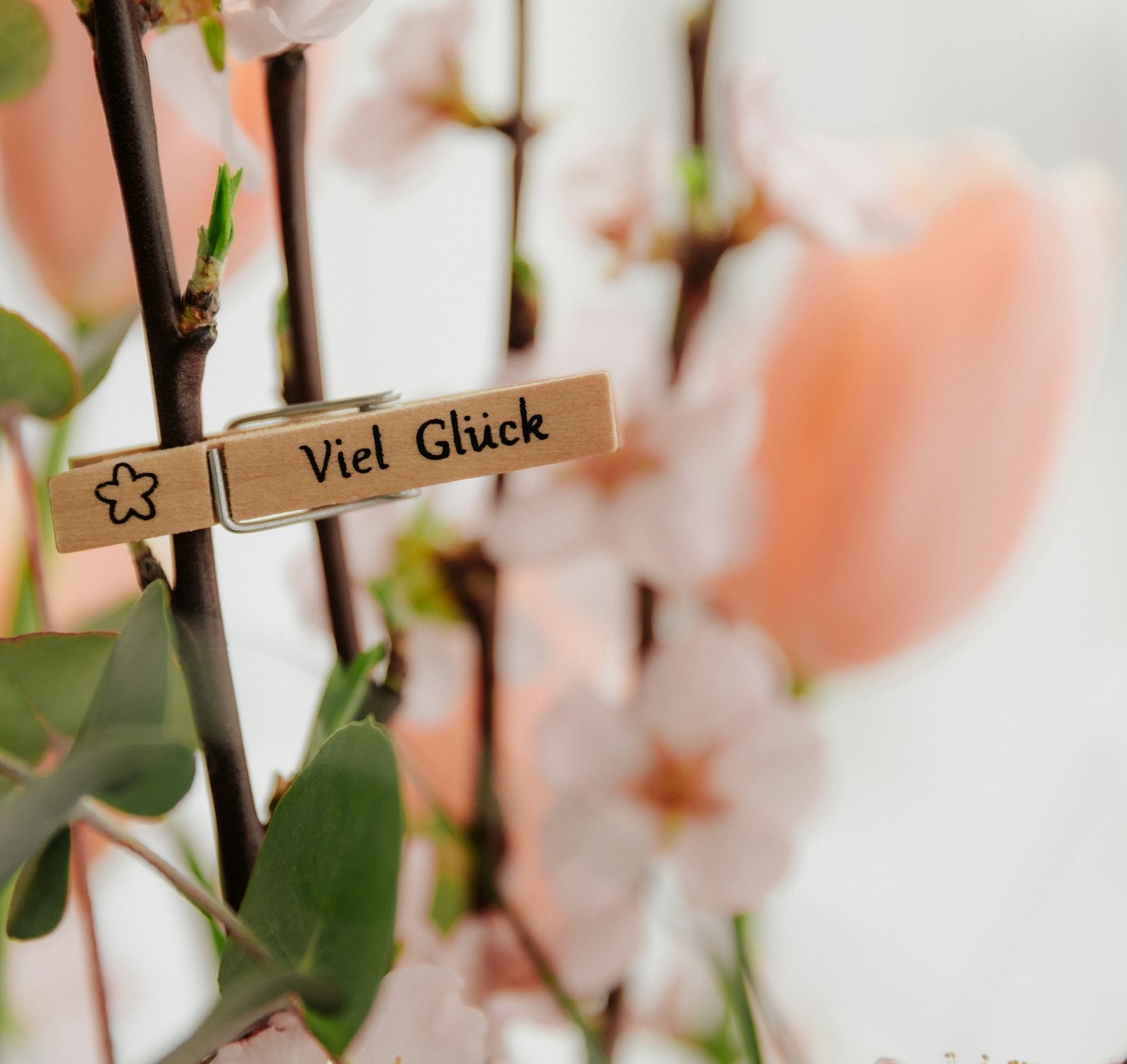 Klambt-Verlag - 🎄 jeden Tag eine andere Überraschung, die viel Freude bereitet vom OK-Magazin ☃️