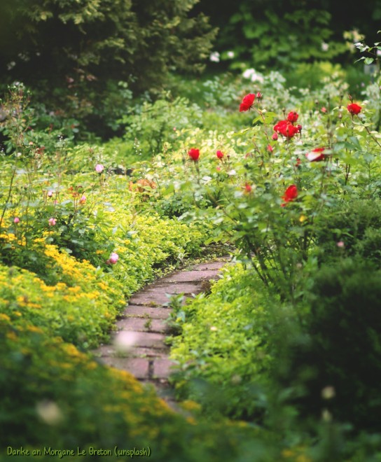 kraut&rüben - ein Akku-Ast-Scheren-Set von STIHL, Gartengeräte von Krumpholz, Genuss-Sets von Nabio sowie einen Hotelgutschein für das Landhaus Ettenbühl und vieles mehr