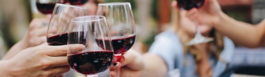 Rindchens Weinkontor - 5x Weinpakete mit 6 Flaschen Rotwein (2022 