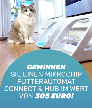 Sure Petcare - ureFeed Mikrochip Futterautomat Connect