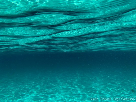 TAUCHEN - Equipment rund um das Thema TAUCHEN im Adventskalender