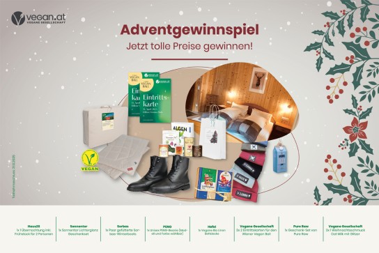 vegan.at - 1 Übernachtung inkl. Frühstück für zwei Personen im Haus26, 1 Lichterglanz-Geschenkset, 1 Paar gefütterte Sorbas-Winterboots,1x vegane „Bio Linen Bettdecke