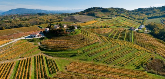 VINUM - 3 Flaschen Wein