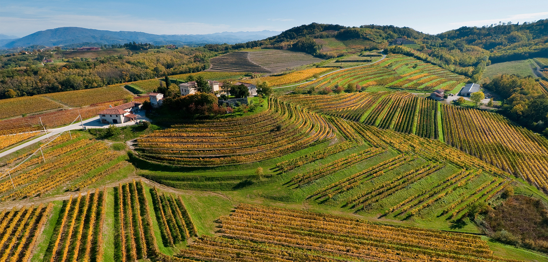 VINUM - 3 Flaschen Wein