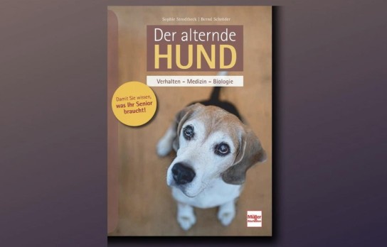 Ein Herz für Tiere - 3 x zwei Bücher : Der Alternde Hund: Verhalten - Medizin - Biologie und  Graue Schnauze, großes Herz: Vom Glück, einen alten Hund zu haben