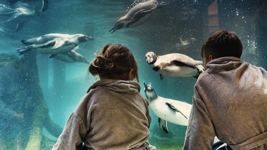 Kind+Kegel - 2 Übernachtungen inkl. Frühstück und Eintritt in das Spreeweltenbad für eine Familie  (2 Erwachsene und 2 Kinder bis zum Alter von 14 Jahren)
