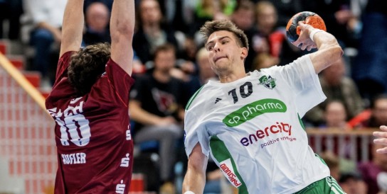 Fahrgastfernsehen - 15x2 Karten Handball-Spiel (Recken vs. Potsdam am 28.05. in Hannover) + exklusiver Handball